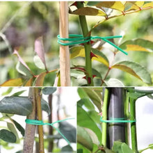 Garden Wire, Sturdy Plant Ties for Support, Garden Ties with Cutter for Tomatoes Vines, Plant Wire Tie Wire for Indoor, Outdoor, Home and Office Use (50 Mtr)