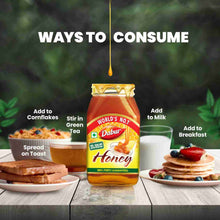 Dabur 100% Pure World's No.1 Honey Brand with No Sugar Adulteration  (500 g)